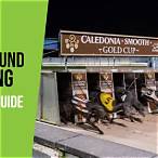 best bet greyhound racing